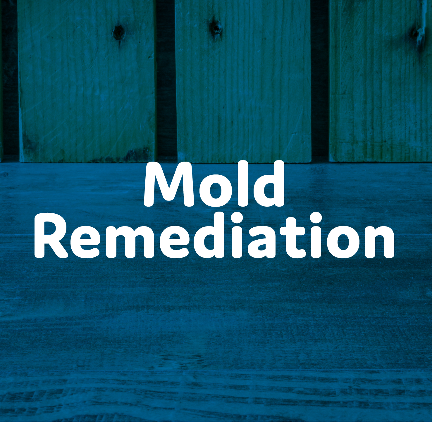 Mold Remediation
