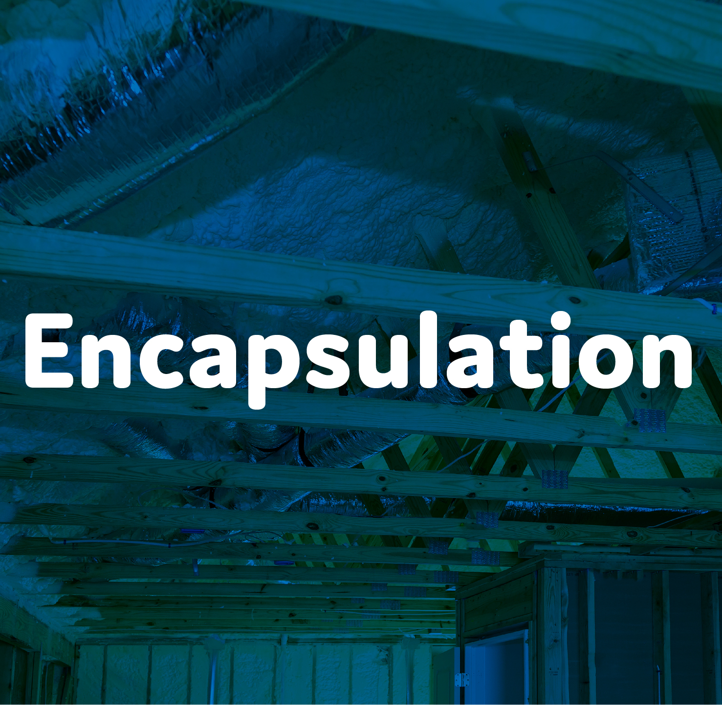 Encapsulation